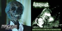 Maggut : Revenge of Corpse - Emetological Gore Splatter Molynsis